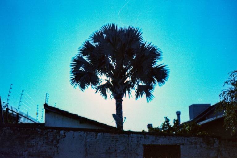 Centenário - Photovski Fotografia