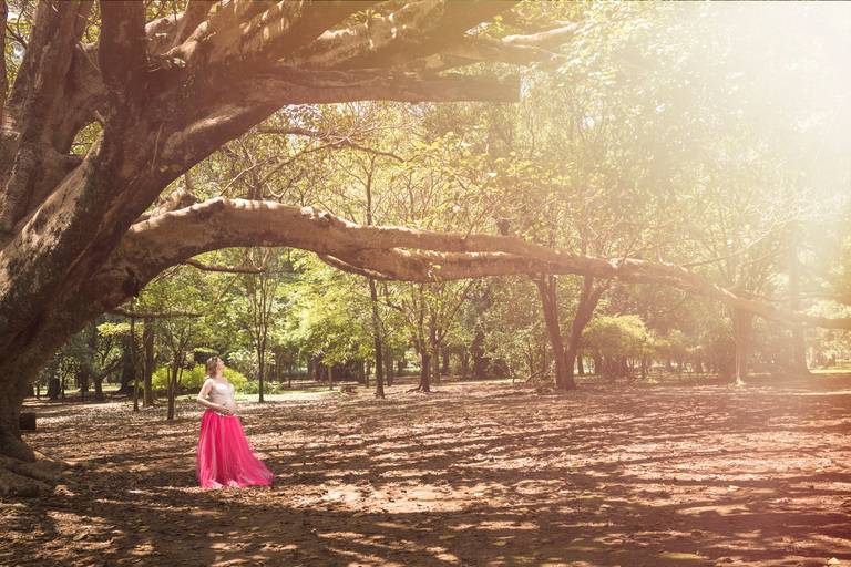 ensaio-gestante-externo