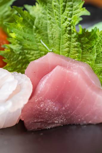 fotografia comida japonesa ribeirão preto