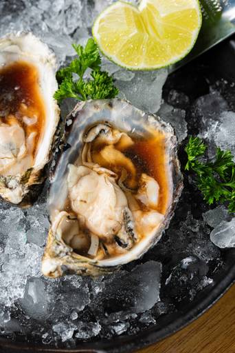 fotografia comida japonesa ribeirão preto