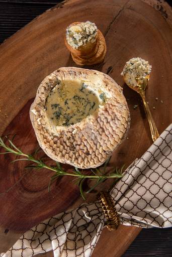 Fotografia de comida em ribeirão preto queijos gorgonzola