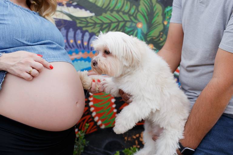 Ensaio Gestante com pets