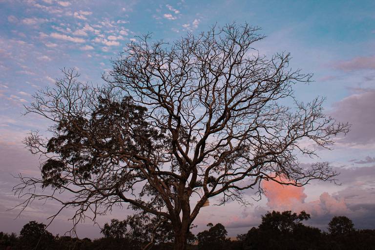 Uberlândia