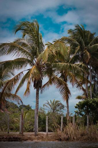 Arraial D´Ajuda