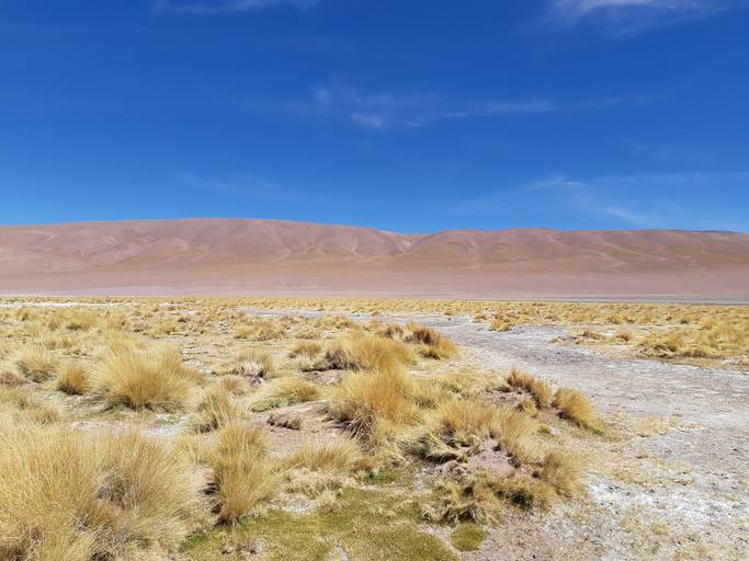 Atacama - Chile