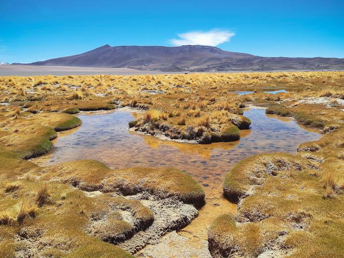 Atacama - Chile