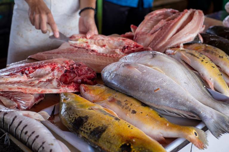 Feira do Pescado - Santarém