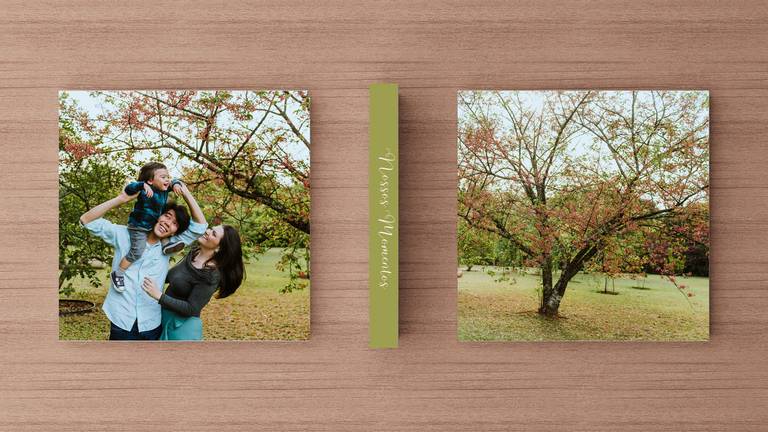 Álbum de fotos ensaio familia