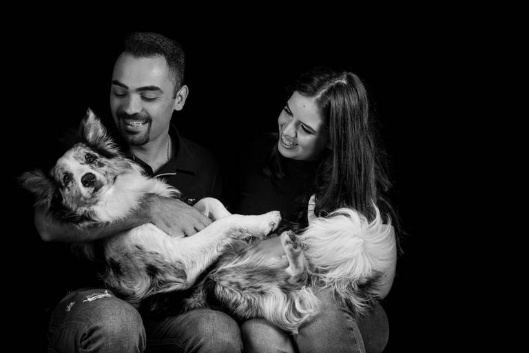 Retratos de Animais