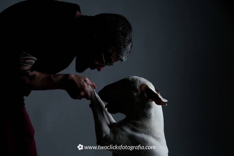 Book Pet - fotografo Pet