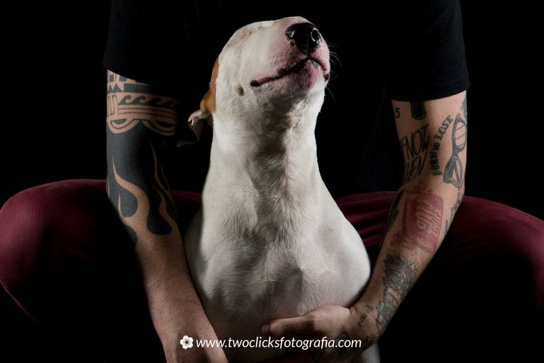 Fotografo de pet - Two Clicks Fotografia 