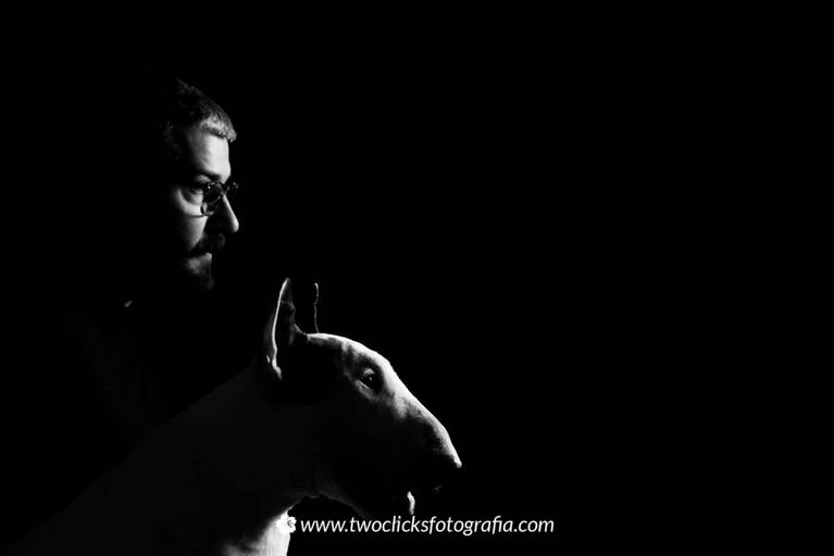 Jimmy Cho em ensaio Basico pet - Two Clicks Fotografia Pet