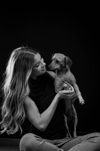 Fotógrafo de Animais