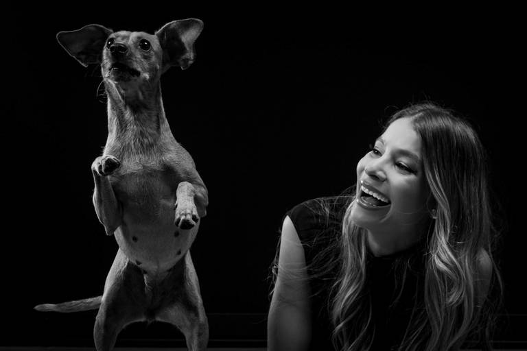 Fotógrafo de Animais