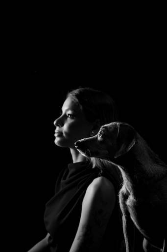 Ensaio Fotográfico Pet