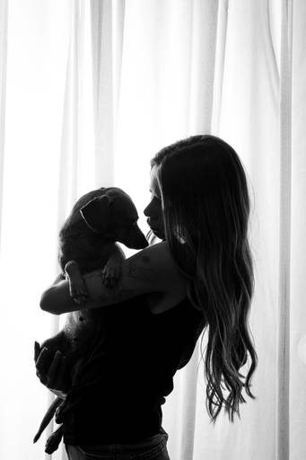 Fotografia de Cães