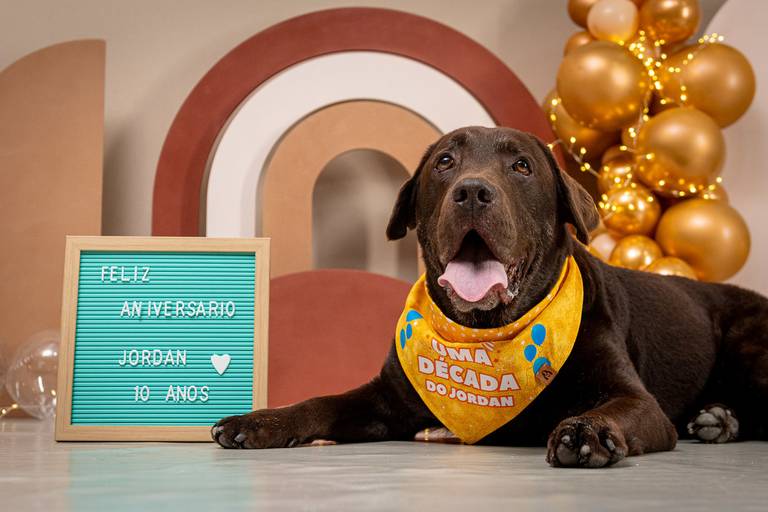 Ensaio de Aniversário Pet