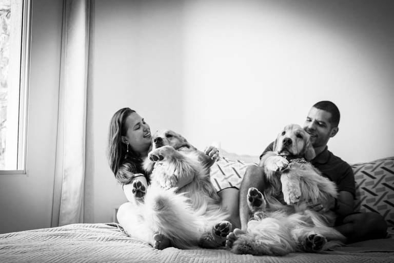 Fotografia de pets no lar