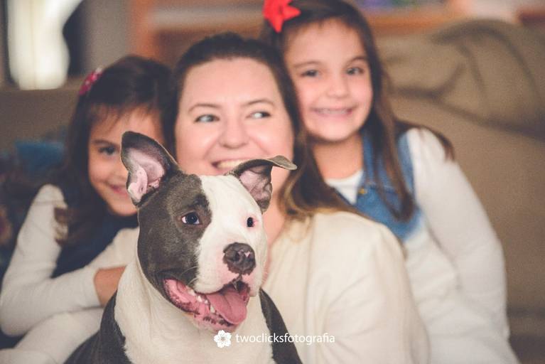 Fotos de pets em casa