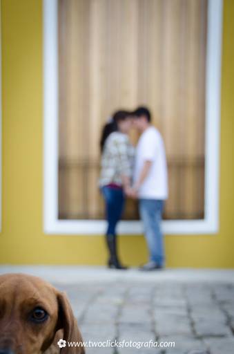 Fotografia de pets no lar