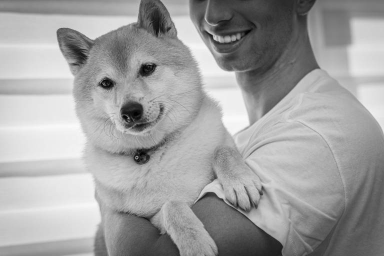 Ensaio fotográfico de animais