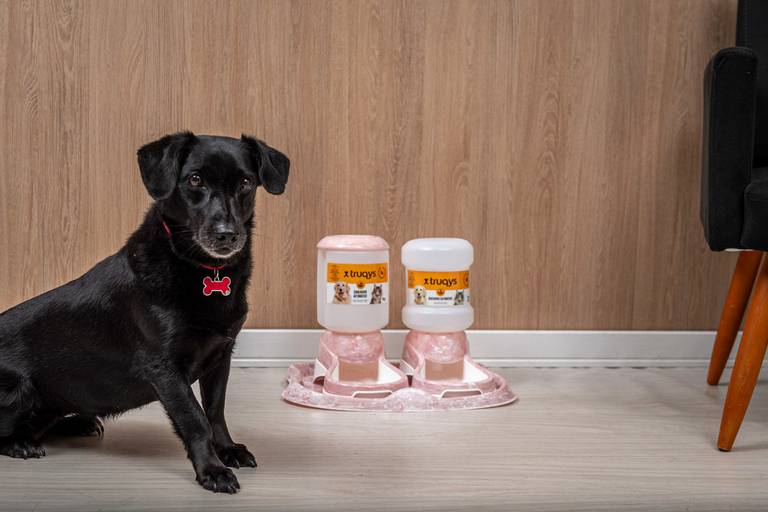 Fotografia de produtos Pet