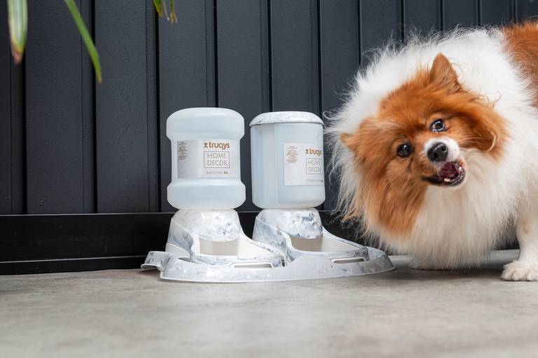 Fotografia de produtos Pet