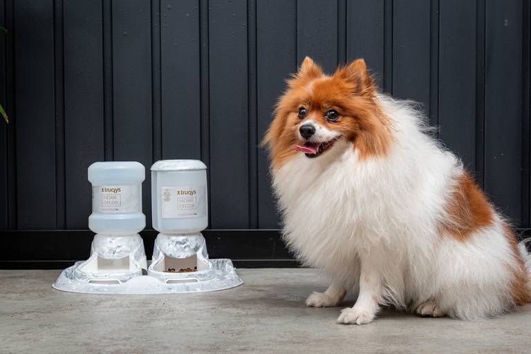 Fotografia de produtos Pet