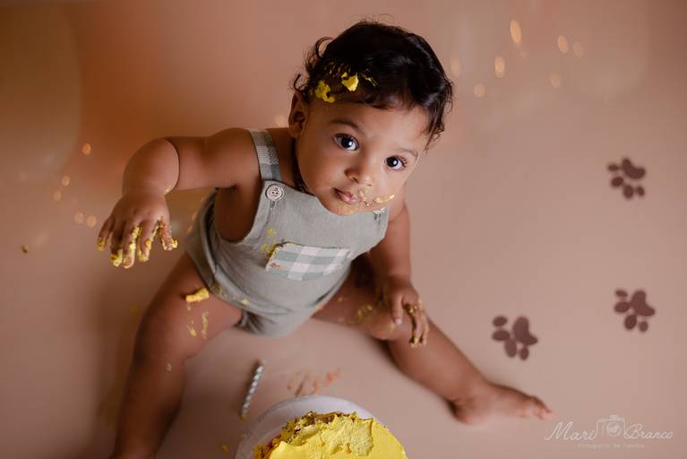 Ensaio Smash the cake menino Rei leão estúdio Freguesia Jacarepagua Rio de Janeiro