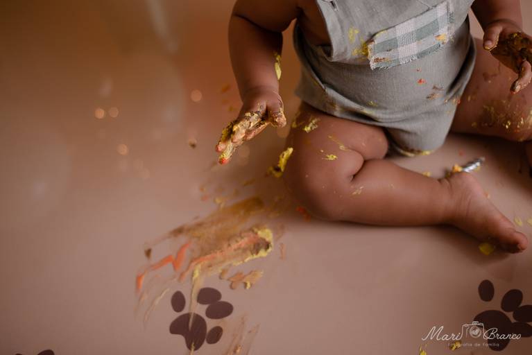 Ensaio Smash the cake menino Rei leão estúdio Freguesia Jacarepagua Rio de Janeiro