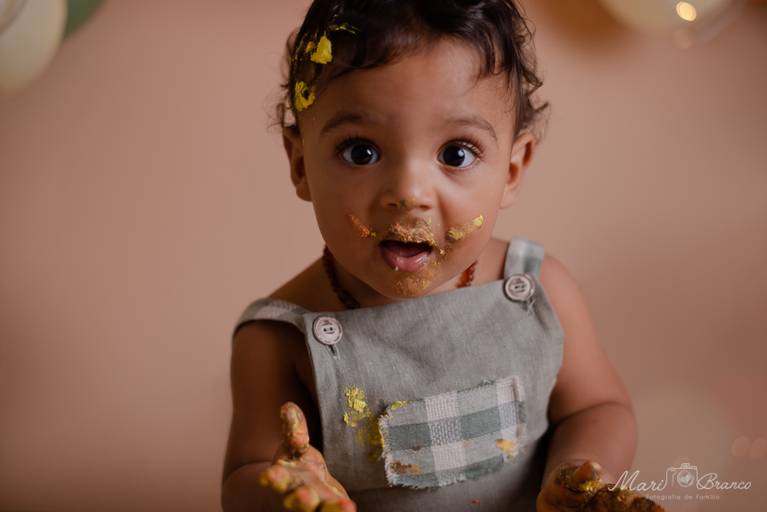Ensaio Smash the cake menino Rei leão estúdio Freguesia Jacarepagua Rio de Janeiro