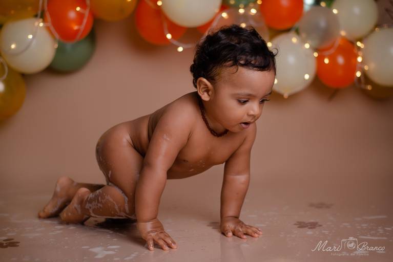 Ensaio Smash the cake menino Rei leão estúdio Freguesia Jacarepagua Rio de Janeiro