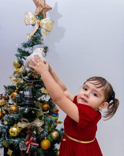 Ensaio de Natal em família por Cristiane Libardi Fotografia- São José do Rio Preto-SP 