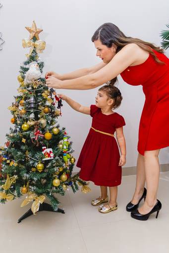 Ensaio de Natal em família por Cristiane Libardi Fotografia- São José do Rio Preto-SP 