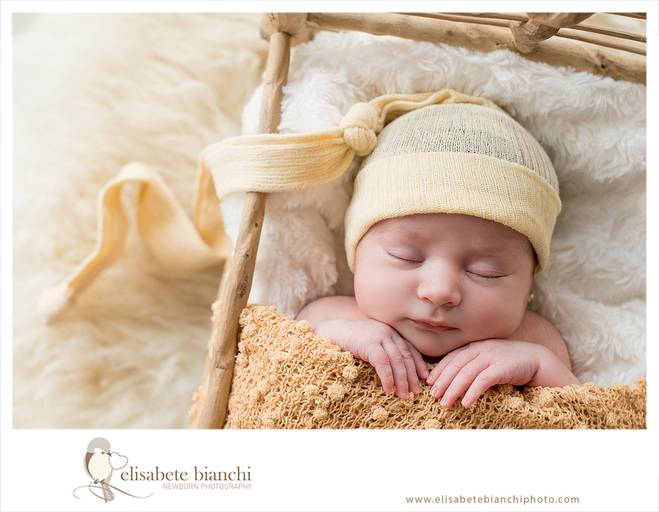 Ensaio  Newborn Caxias do Sul fotógrafa de recém nascidos formação e selo de segurança foto bonita é foto segura
