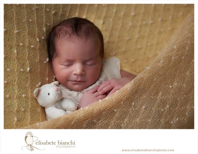 Ensaio Newborn em Caxias do Sul realizado com fotógrafa de recém nascidos com formação especializada e selo de segurança foto bonita é foto segura. O bebê sorri sob sua cobertinha e um bichinho de pelúcia.