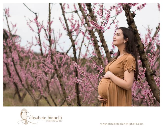 Ensaio Gestante Caxias do Sul fotógrafa gestação externa  