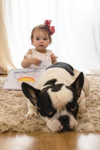 menina desenhando e brincando com o cachorro