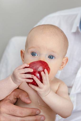 bebê comendo maçã na introdução a alimentos sólidos 