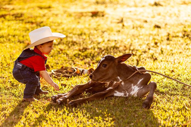 Ensaio-externo-em-familia-ensaio-infantil-criança-bauru-fotografo bauru