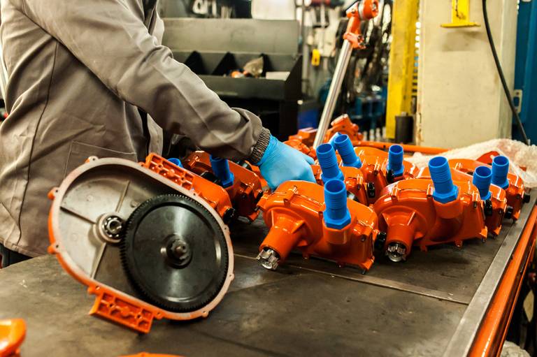 Sessão de fotos para catálogo na Bristol, São Jerônimo