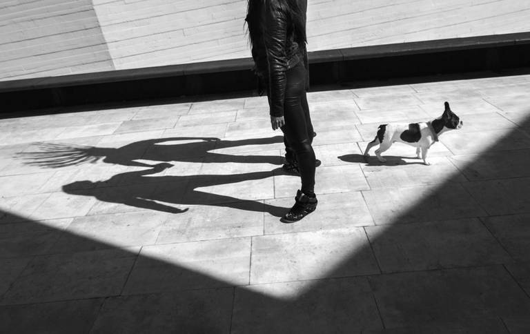 Best Portuguese Photographer; Fotografo de Casamento; Aveiro; Coimbra; Porto; Wedding Portugal; Sessão de solteiros; casal; noivos; Wedding Portugal; Wedding Photography; Bulldogue Francês; vestidos de noiva; 
melhores fotografias de casamento