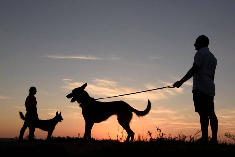 Fotografia de Casamento; Casamento Intimista; Noiva; Noivos; Elopement; Wedding; Casamento de Sonho; Rock my wedding; Destinations Wedding; Portugal; Fotógrafo de Aveiro; Fotografo de Casamento; Noivos; Solteiros; Cumplicidade; Vestido de Noiva; Casamento