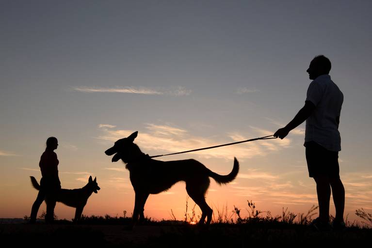 Casar em Portugal; Casamento; Fotografo Casamento; Fotografia de Casamento; Noivo; Noiva; Noivado; Solteiros; Aveiro; Porto; Coimbra; Amor; Cumplicidade; Vestido De Noiva; Wedding Planner; Wedding Photographer; Casamento Original; Intimista; Cães