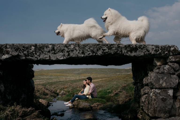 Best Portuguese Photographer; Fotografo de Casamento; Aveiro; Coimbra; Porto; Wedding Portugal; Sessão de solteiros; casal; noivos; Wedding Portugal; Wedding Photography; Geometria; Samoiedos; vestidos de noiva; 
melhores fotografias de casamento