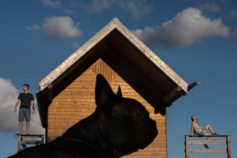 Casar em Portugal; Casamento; Fotografo Casamento; Fotografia de Casamento; Noivo; Noiva; Noivado; Solteiros; Aveiro; Porto; Coimbra; Amor; Cumplicidade; Vestido De Noiva; Wedding Planner; Wedding Photographer; Casamento Original; Intimista; Bulldogue 