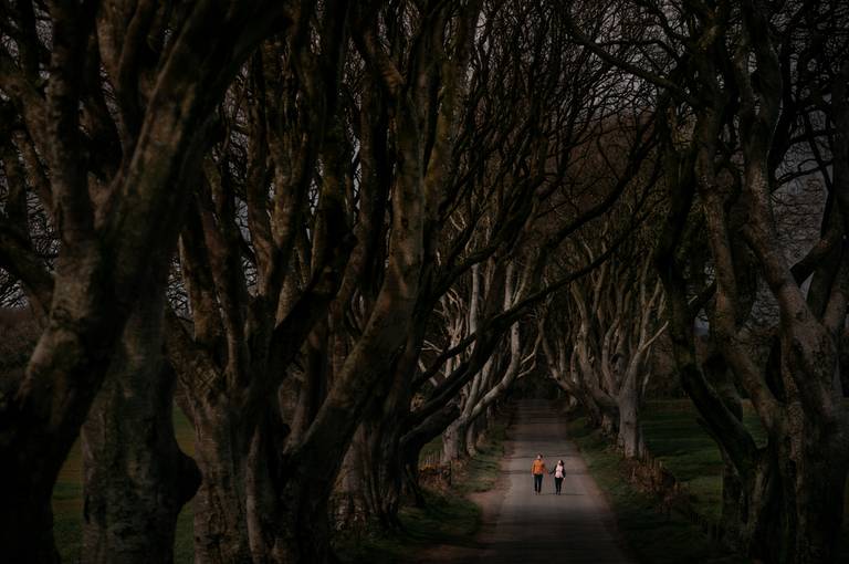 Best Portuguese Photographer; Fotografo de Casamento; Aveiro; Coimbra; Porto; Wedding Portugal; Sessão de solteiros; casal; noivos; Wedding Portugal; Wedding Photography; Geometria; Samoiedos; Vestidos de noiva; 
Melhores Fotografias de Casamento
