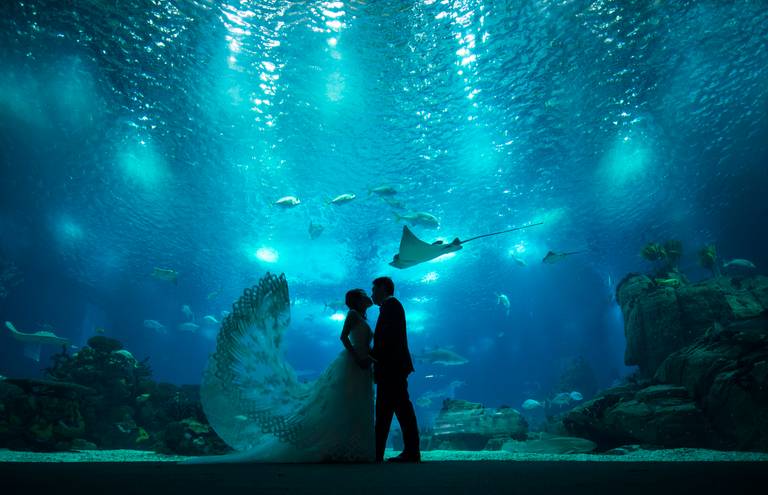 Best Wedding Photographer; Casamento; Fotografo de Casamento; Noiva; Casal; Noivado; Quinta do Rio; Quinta dos Teixeiras; Quinta do Rio; Vale da Carga; Hotel do Buçaco; Palacio Igreja Velha; Palacio Do Freixo; Aveiro; Porto; Coimbra; Noivos; Intimista