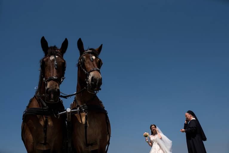 Fotografo de Casamentos; Aveiro; Porto; Best Wedding Photographers; Wedding Portugal; Casamento Original; Felicidade; Palacio Do Buçaco; Noivos; Casal; Sessão Solteiros; Couple Goals; Intimista; Wedding Planner; Damas Donor; Casamento Intimista