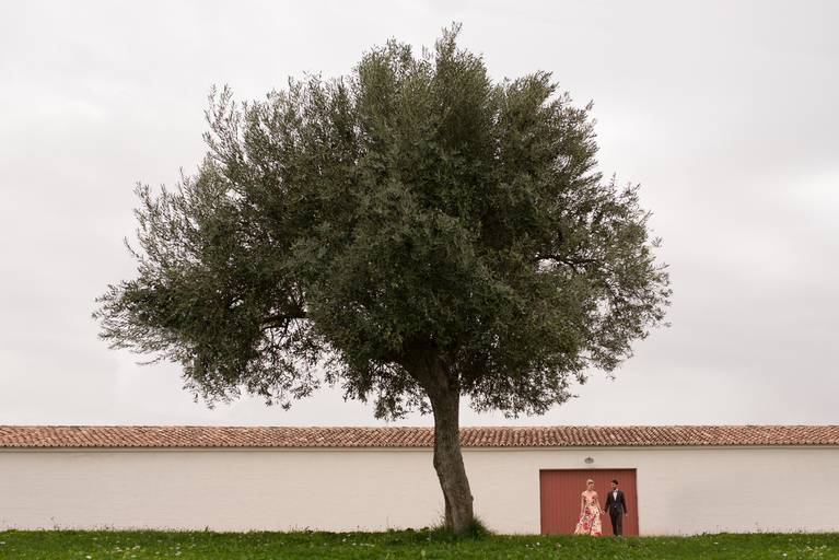 Fotografo de Casamentos; Aveiro; Porto; Best Wedding Photographers; Wedding Portugal; Casamento Original; Felicidade; Palacio Do Buçaco; Noivos; Casal; Sessão Solteiros; Couple Goals; Intimista; Wedding Planner; Damas Donor; Casamento Intimista